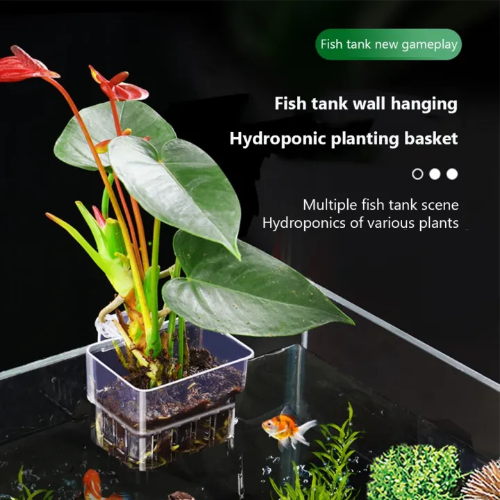 Aquarium%20Plant%20Basket%20Transparent%20Fish%20Tank%20Hanging%20Decorations%20Pot%20Aquatic%20Plants%20Holder%20Aquatic%20Plant%20Cup%20Fish%20Tank%20Planter%20-%20Image%205