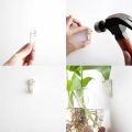 2/4/6/8 Pack Wall Hanging Glass Terrari2um - Self-Watering Hydroponic Planter for Home Office Decor, Handmade Round Crystal Vase. 