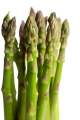🌿 50–60 Pcs Premium Kurilo Seeds | 100% Natural Asparagus Seeds for Healthy Growth & Herbal Benefits. 