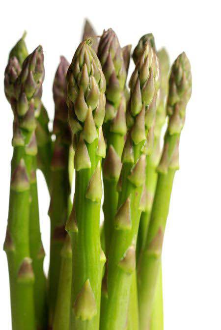 %F0%9F%8C%BF%2050%E2%80%9360%20Pcs%20Premium%20Kurilo%20Seeds%20%7C%20100%25%20Natural%20Asparagus%20Seeds%20for%20Healthy%20Growth%20&%20Herbal%20Benefits%20-%20Image%205