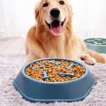 Pet Slow Food Bowl Anti-choking Feeder PP Plastic Dish Bowl Home Dog Eating Plate Anti-gulping Feeding Supplies. 