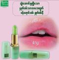 Healthy Shop Lip Pink. 