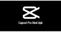 Capcut Premium. 
