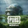 PUBG UC -Cheapest Price in Nepal. 