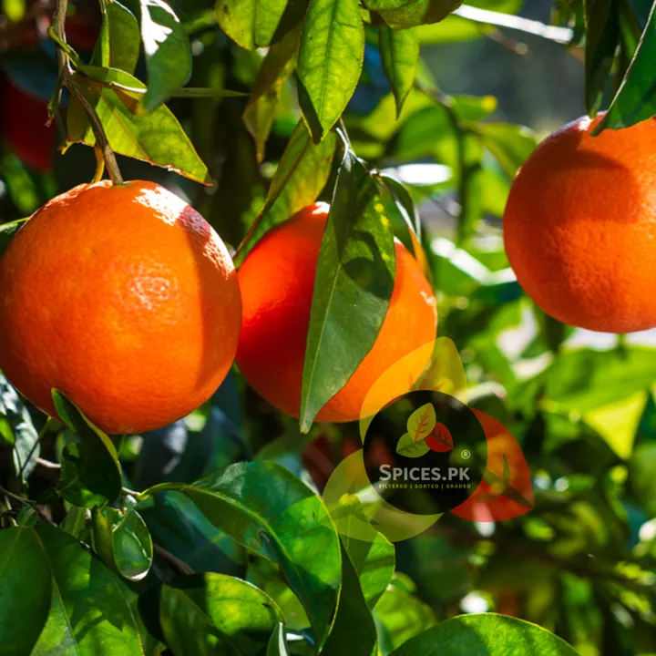 Pure%20Orange%20Peel%20Powder%20(120g)%20-%20Organic%20Vitamin%20C%20Face%20Mask%20for%20Skin%20Brightening,%20Tan%20Removal%20&%20Hair%20Glow%20-%20Image%207