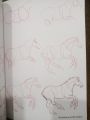 Draw 50 Horses (Draw 50). 