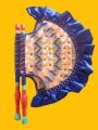 Hand Made Fan. 