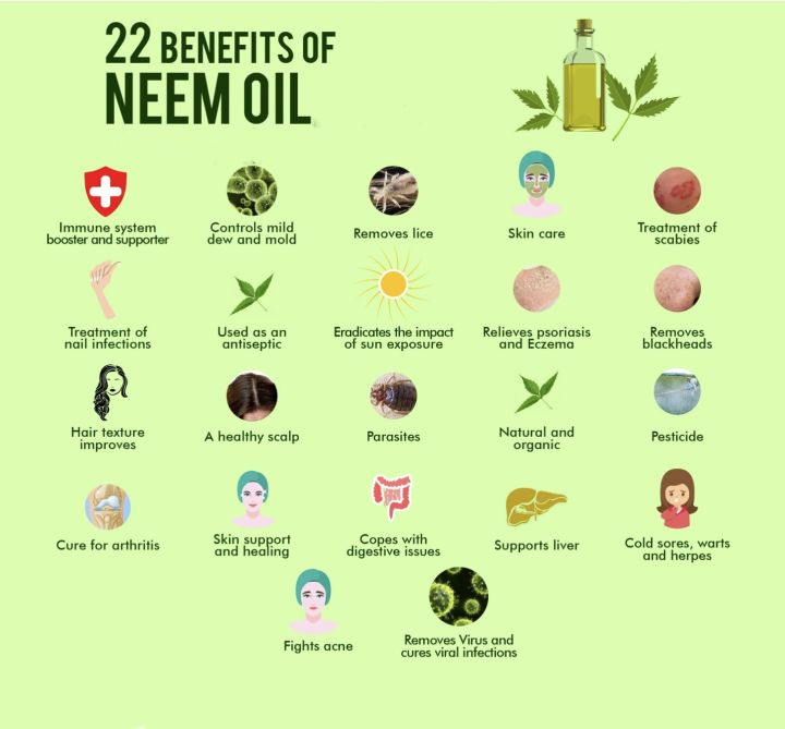 Organic%20Neem%20Oil%2060%20ml%20100%25%20Pure%20-%20Roghan%20E%20Neem%20-%20Rogan%20e%20Neam%20-%20Nashpati%20Organics%20-%20Image%204