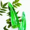 Pure Bliss 99% Aloe Vera  soothing Gel for skin Natural Cooling and Hydration. 