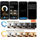 Mini Tuya Wifi Led Dimmer DC12 DC24V 5050 COB CCT/RGB/RGBW/RGBCCT Led Light Strip Single Color Controller Voice for Alexa . 