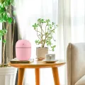 New Arrived Portable Humidifier Super Style ( For Home & Vehicle ). 