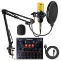 BM800 Condenser Microphone with Sound Card and Pop Filter - Professional Kit. 