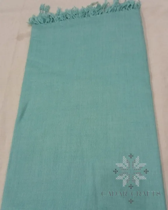 Pashmina%20Pure%20Wool%20Shawl%20For%20Women%20%7C%20100%25%20Pure%20Pashmina%20Wool%20Shawls%20-%20Image%204