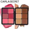 12-Color Iron Box Concealer Blush Cream Matte Highlight Contour Makeup All-in-One Palette. 