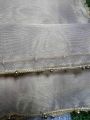 Golden and silver masoori Dupatta. 