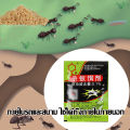 Effective 100% the fast ant killer, remove ants, raise ants, raise ants, raise ants, remove ants, remove ants, raise nests, all kinds of ants, insecticide day, ant killer, kill ants, raise nests ants killer. 