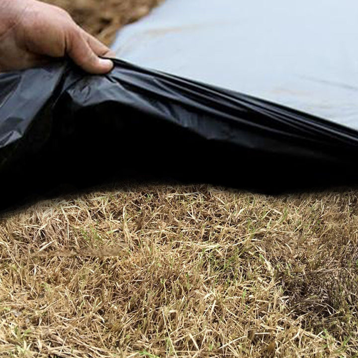 Plastic%20mulch%20has%20a%20drill%20hole%20and%20does%20not%20drill%2010%20m%20long.%2080/100/120/150mm%20wide%20%7C%20plastic%20mulch%20plastic%20mulch%20film%20-%20Image%208