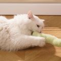 Snake Cat Toy Chew-Proof | Interactive Plush Feather Wand for Kittens/Puppies (Xmas  2024). 