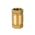 Spring Check Valve  (¾). 