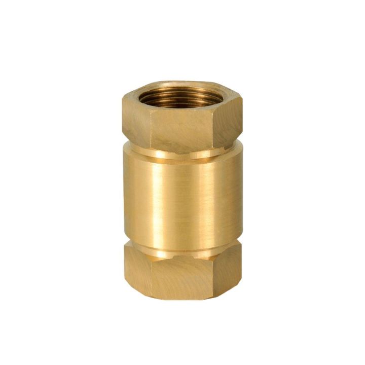 Spring Check Valve  (¾)