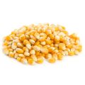 Popcorn Seeds 250g. 