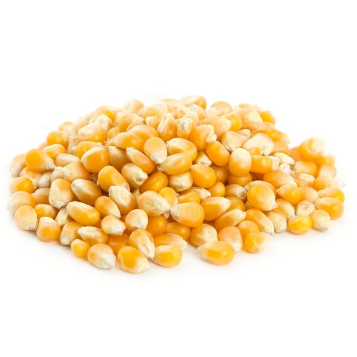 Popcorn Seeds 250g