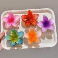 Viral Flower Catcher Buydontbye Hairclaw Korean Fashion For Girls & Women Hair Accessories. 