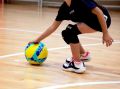 Volleyball for beginners V100 AllSix. 