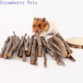 5pcs 10pcs 40pcs Chew Stick Apple Tree Branch Hamster Squirrel Natural Toys Parrots Rabbits Grinding Stick.