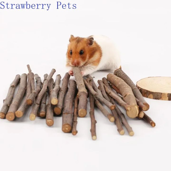 5pcs%2010pcs%2040pcs%20Chew%20Stick%20Apple%20Tree%20Branch%20Hamster%20Squirrel%20Natural%20Toys%20Parrots%20Rabbits%20Grinding%20Stick%20-%20Image%202