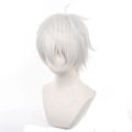 Synthetic Hair Anime Seishiro Nagi Cosplay Wigs Silver White 30cm Short Warping Heat Resistant Man Wig.