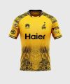 PSL Teams Official Home Ground T - Shirt / Best Quality pakistan Super League Teams T shirts / Its time to update your Game play and looj stylish.. 