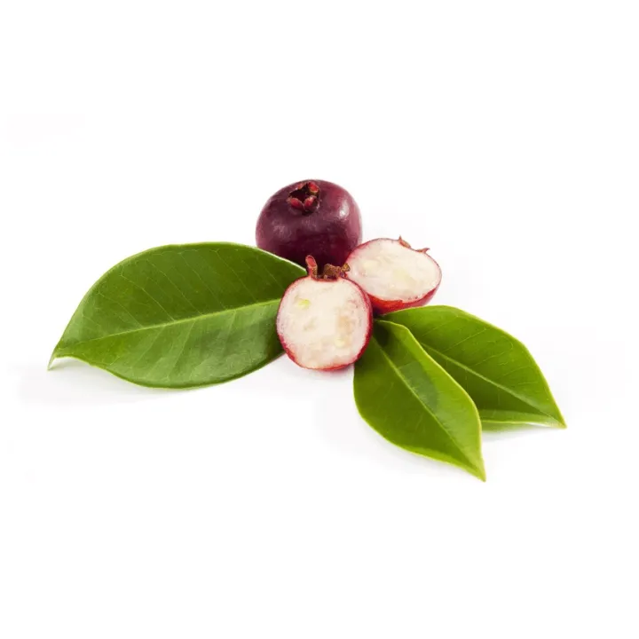 Strawberry%20Guava%20Cheena%20Pera%20podi%20Pera%20pala%20plant%20-%20Image%204