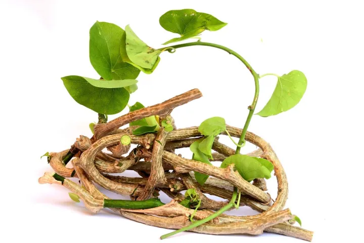 Guduchi%20Giloya%20Gurjo%20Powder%201kg%20-%20Image%203