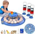 8/18/26/52 Eggs Automatic Intelligent incubator Ac/dc With extra parrots tray gift with all models. 