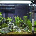 [F] EU Plug Adjustable Temperature Thermostat Heater Rod Glass Aquarium Heater 25-300W Submersible Fish Tank Water Heating Rod. 