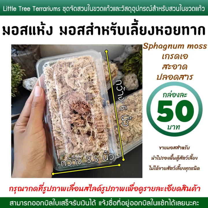 Snail%20Farming%20Moss,%20Dried%20Moss,%20Sphagnum%20Moss,%2050%20Baht%20Per%20Box.%20-%20Image%207