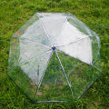 Foldable transparent umbrella fully automatic transparent three-fold sunny umbrella student simple sunny umbrella supplies. 
