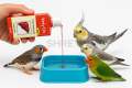 Vety Liv 100ml | Veterinary Liver Tonic with Probiotics | Ideal for Birds, Pigeons, Chickens, Quails | Liver Support & Digestion Boost. 