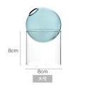 Mini Round Flower Vase Hydroponic Container Micro Landscape Glass Ecological Bottle Borosilicate Glass Bottle With Home Decorate.