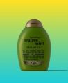 International European Product OGX Hydrating + Teatree Mint Shampoo 13 floz. 