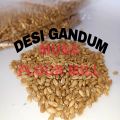 Desi Chakki Flour | 5KG | 10KG | Desi Gandum Ka Atta | 100% pure. 
