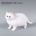 Simulation Cat Model Action Figures Set - Siamese Sphynx Persian Breeds Miniature Pet Figurines for Kids Educational Home Decor.