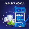 GILLETTE DEO STICK ENDURANCE COOL WAVE ANTIPERSPIRANT GEL 70ML. 