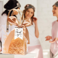 10pcs Clear PVC Gift Bags with Pink Ribbon Plastic Tote Bag Gift Wrap Bag for Wrapping Holiday Gifts  Shopping Birthday Supplies. 