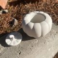 Home decorative Pumpkin storage or vase as per your use. 