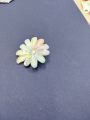 Shari Pin 6-Pack for Women.