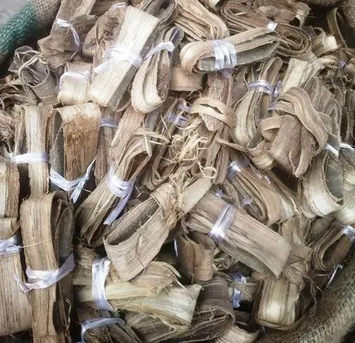 Dandasa%20Walnut%20Tree%20bark%2060Gram%20Special%20From%20Gilgit%20Baltistan%20(Himalayan%20Gift)%20-%20Image%203