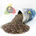 Spices.PK Organic Chia Seeds 125g Value Pack – Pure Tukhm-e-Sharbati – Rich in Fiber, Omega-3 & Protein for Weight Management & Digestion. 