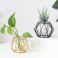 Plant Holder Vase Metal Terrarium Geometric Nordic Golden Glass Vase Iron Line Vase Hydroponic Plant Flower Home Decor Modern. 